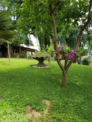 Giardino di Hotel Due Fontane