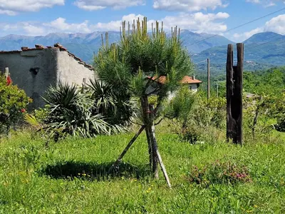 Paesaggio naturale nelle vicinanze dell'appartamento