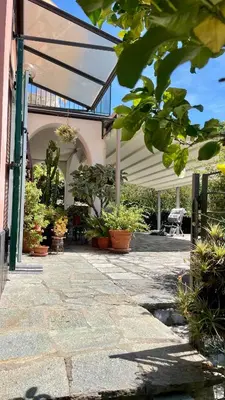Giardino di Eucalipto