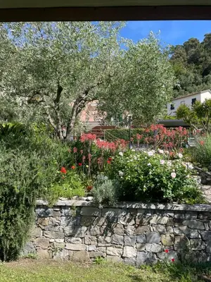 Giardino di Eucalipto