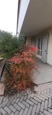 Giardino di ELDA House