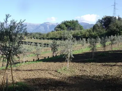 Paesaggio naturale nelle vicinanze dell'agriturismo