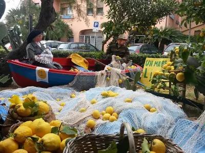 Planimetria di I Lecci Di Soviore
