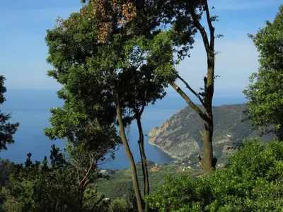 Paesaggio naturale nelle vicinanze dell'affittacamere