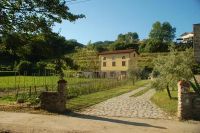 Paesaggio naturale nelle vicinanze dell'agriturismo