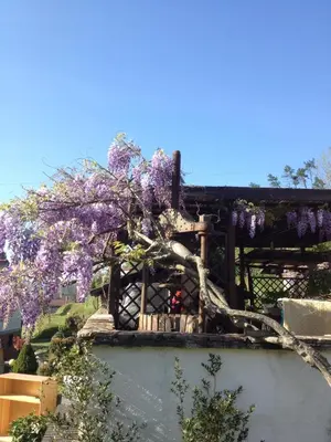 Giardino di Il Ghiro B&B