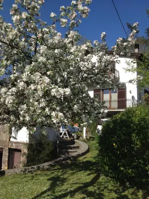 Giardino di Il Ghiro B&B