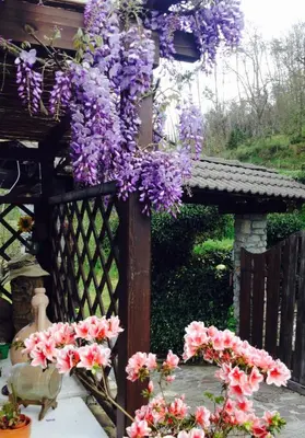 Giardino di Il Ghiro B&B