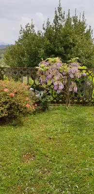 Giardino di Bargoncello