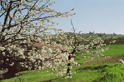 Paesaggio naturale nelle vicinanze of country house