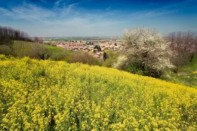 Paesaggio naturale nelle vicinanze del bed & breakfast