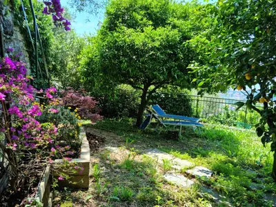 Giardino di B&B La Terrazza Sui Fieschi