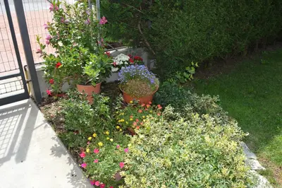 Giardino di B&B Cambusa