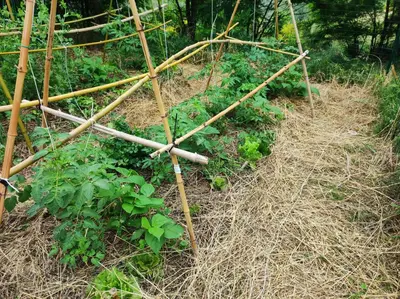 Giardino di Case Crovina