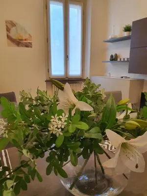 Planimetria di Residenza Venturini