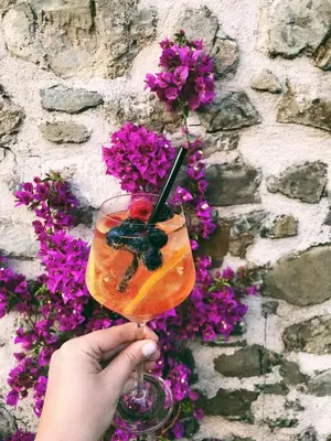 Bevande di Un'Ottima Annata B&B