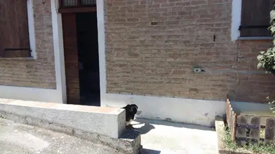 Planimetria di Ca Dell'Aglio