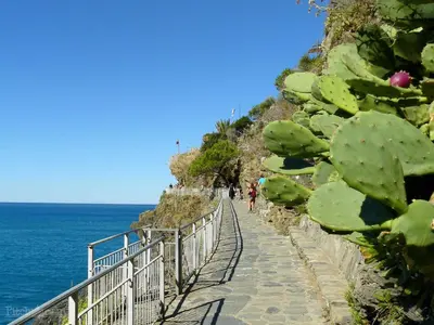 Paesaggio naturale nelle vicinanze del campeggio