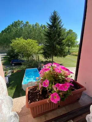 Giardino di B&B Happiness in the Country