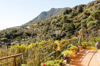 Vista generica sulle montagne o vista sulle montagne dall'interno della casa vacanze