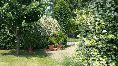 Giardino di Agriturismo San Bruno
