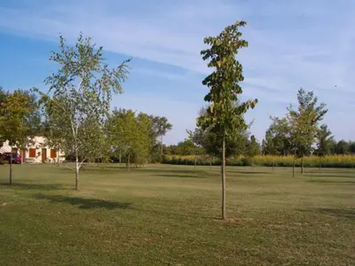 Planimetria di Laghi Paradiso