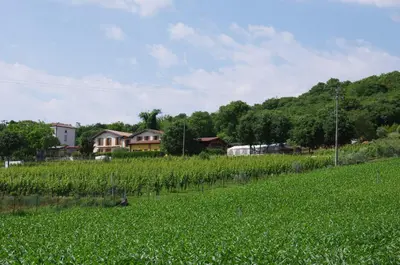 Paesaggio naturale nelle vicinanze dell'agriturismo