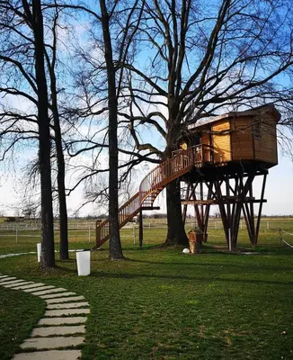 Planimetria di Agriturismo Tenuta 