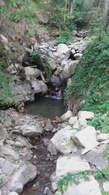Paesaggio naturale nelle vicinanze del bed & breakfast