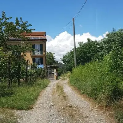Buio Pesto