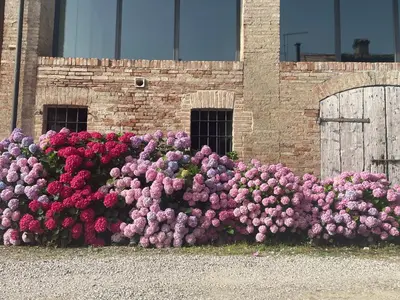 Planimetria di B&B Il Conte Giacomo