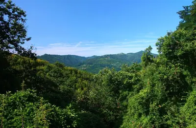 Paesaggio naturale nelle vicinanze of country house