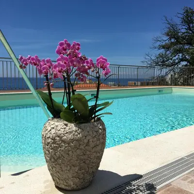Piscina di Hotel Mediterraneo o nelle vicinanze