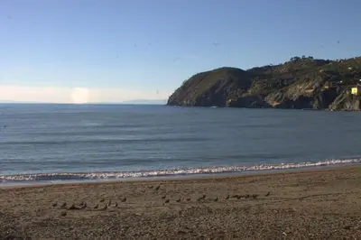 Paesaggio naturale nelle vicinanze dell'affittacamere