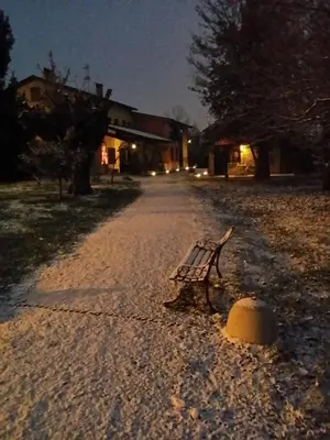 Planimetria di R&B Albero Cavo Parma