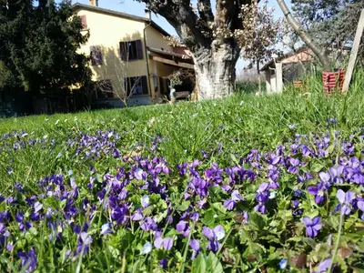Giardino di R&B Albero Cavo Parma