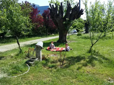 Paesaggio naturale nelle vicinanze del bed & breakfast