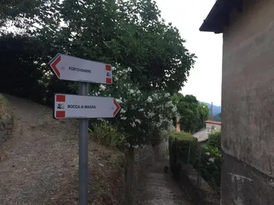 Certificato, attestato, insegna o altro documento esposto da Casa Maia
