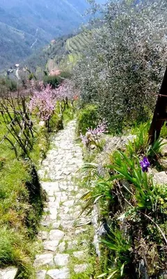 Paesaggio naturale nelle vicinanze del bed & breakfast