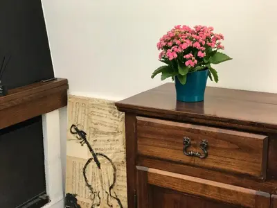 Planimetria di Violino azul