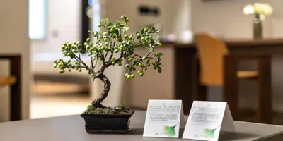 Planimetria di Hotel The Cube