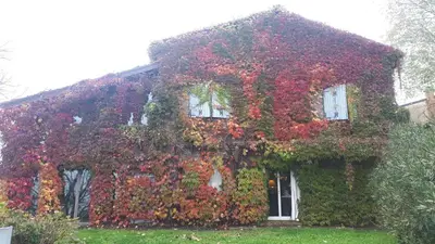Giardino di La Casa Sopra Le Nuvole