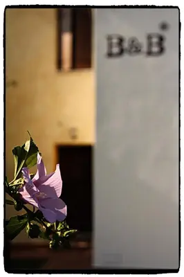 Planimetria di B&B Nascondino