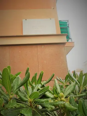 Planimetria di rubino home