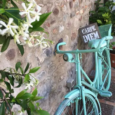 Attività di ciclismo presso il bed & breakfast o nelle vicinanze