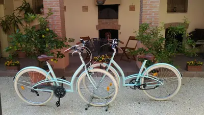 Attività di ciclismo presso il bed & breakfast o nelle vicinanze