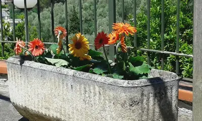Giardino di Appartamento Bellavista