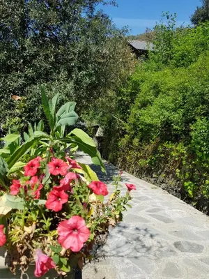 Giardino di Costa Morroni