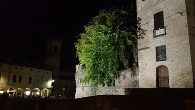 Planimetria di Agriturismo La Fattoria Del Boschetto