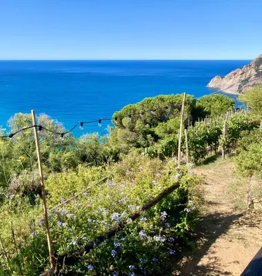Paesaggio naturale nelle vicinanze dell'agriturismo